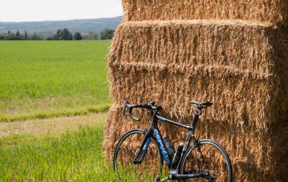 Cycling around Bologna