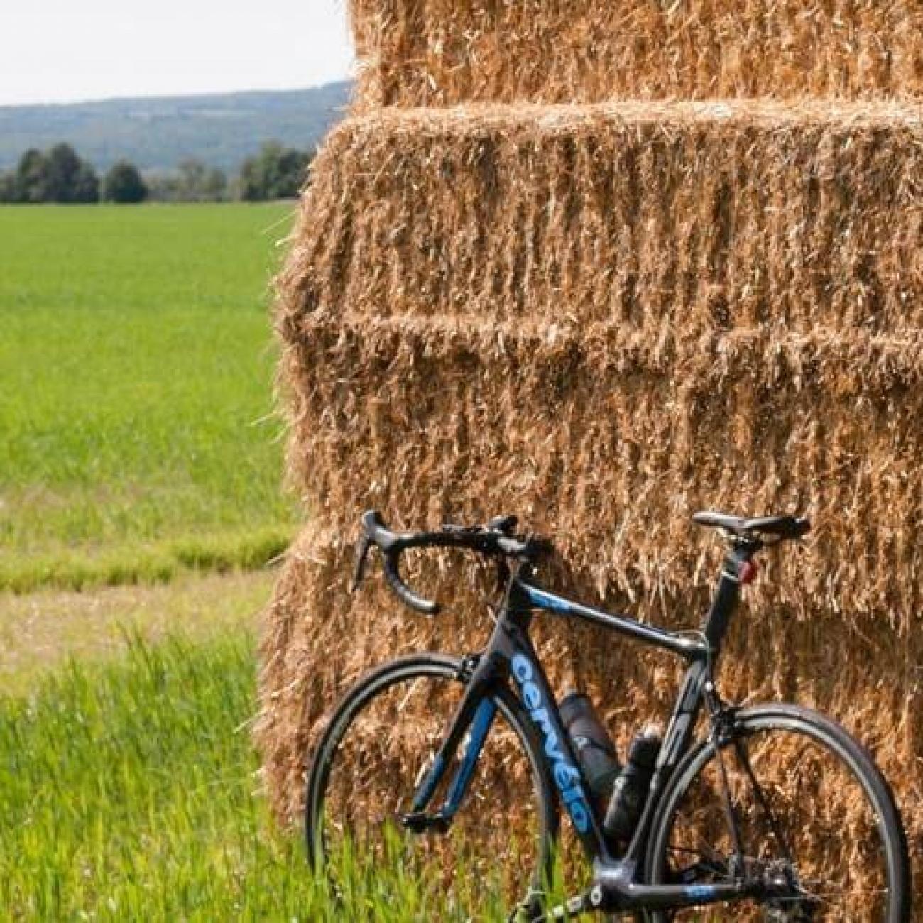 Cervelo s2 blue book discount